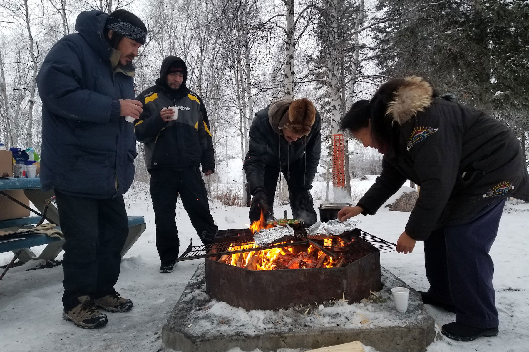 Arctic Indigenous Wellness Project